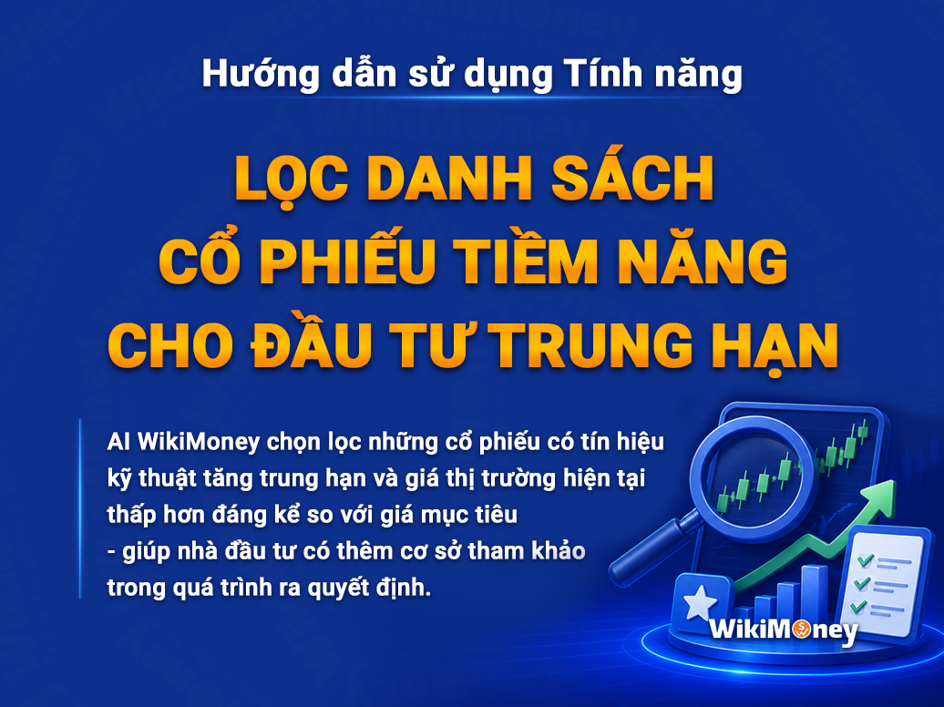 HƯỚNG DẪN SỬ DỤNG TÍNH NĂNG LỌC DANH SÁCH CỔ PHIẾU TIỀM NĂNG CHO ĐẦU TƯ TRUNG HẠN