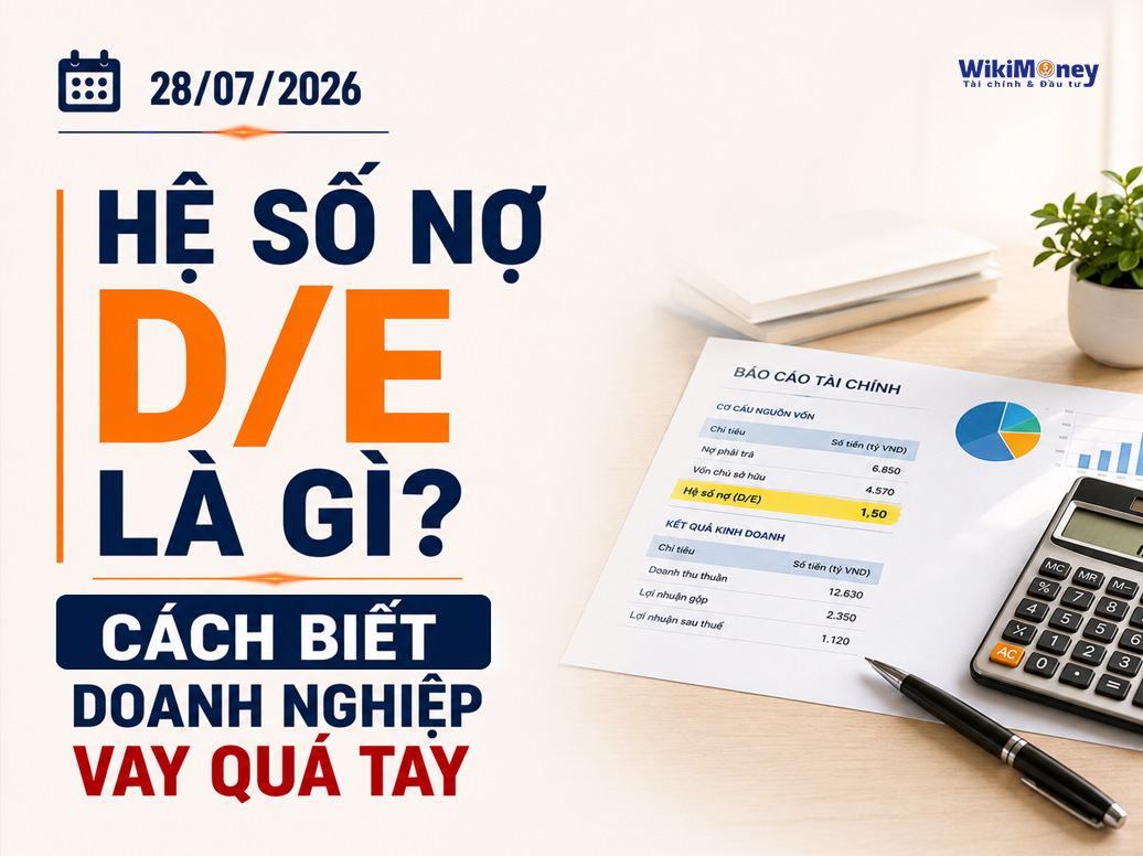 Hệ Số Nợ D/E Là Gì? Cách Biết Doanh Nghiệp Vay Quá Tay