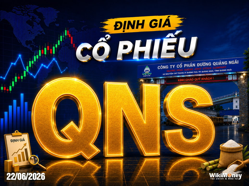 ĐỊNH GIÁ DGW: BỨT PHÁ LỢI NHUẬN TỪ LÀN SÓNG CÔNG NGHỆ AI – BIÊN AN TOÀN HẤP DẪN CHẠM MỨC 25,55%