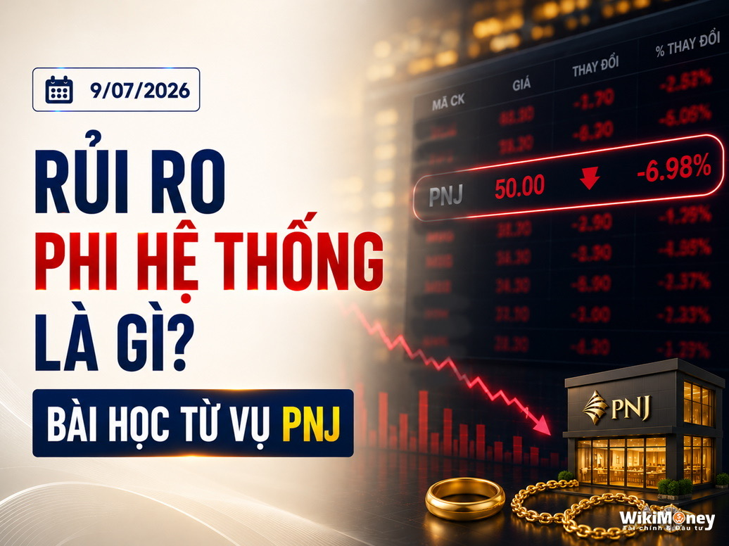 Rủi Ro Phi Hệ Thống Là Gì? Bài Học Từ Vụ PNJ