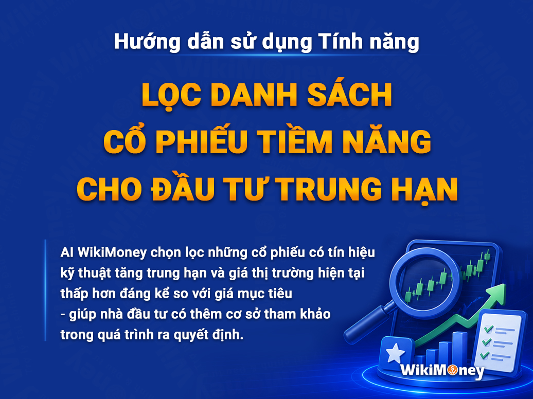 HƯỚNG DẪN SỬ DỤNG TÍNH NĂNG LỌC DANH SÁCH CỔ PHIẾU TIỀM NĂNG CHO ĐẦU TƯ TRUNG HẠN
