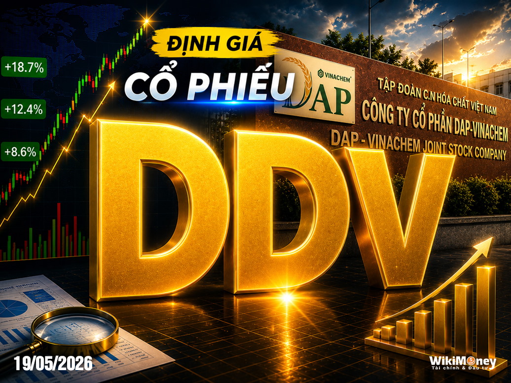 ĐỊNH GIÁ DDV: "MỎ VÀNG" HÓA CHẤT ĐÌNH VŨ – ĐỊNH GIÁ LẠI TỪ CHÍNH SÁCH VÀ HẠ TẦNG