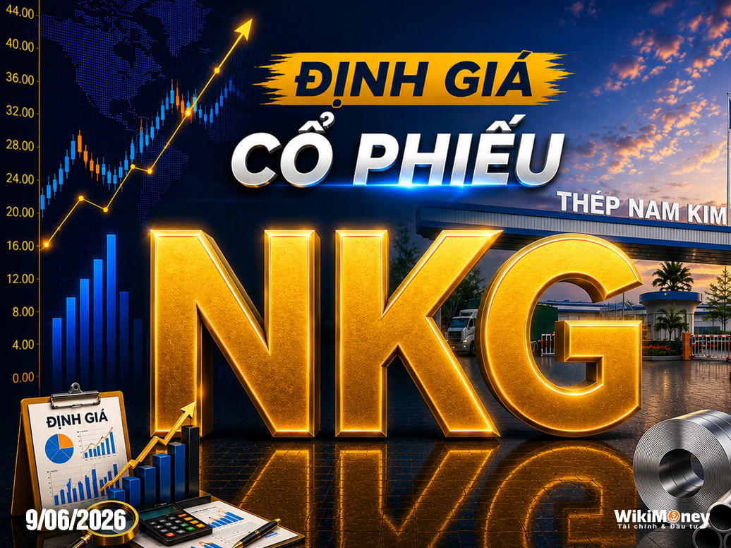ĐỊNH GIÁ NKG: ĐIỂM CHẠM THỬ THÁCH VÀ BÀI TOÁN XOAY TRỤC CHẤT LƯỢNG CAO PHÚ MỸ