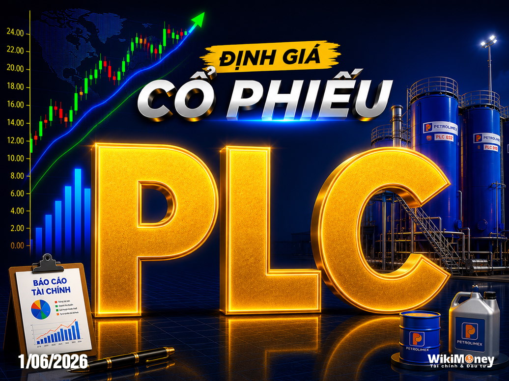 ĐỊNH GIÁ PLC: KHI ĐẦU TƯ CÔNG KHỎA LẤP NỖI THẤT VỌNG TỪ QUÁ KHỨ