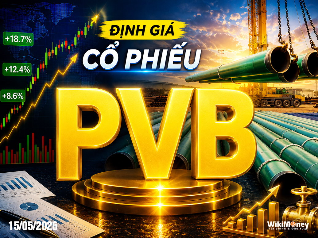 ĐỊNH GIÁ PVB: "CÚ HÍCH LÔ B – Ô MÔN" – SỨC BẬT TỪ VỊ THẾ ĐỘC QUYỀN