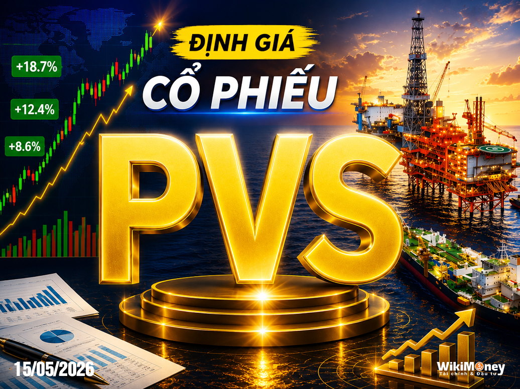 ĐỊNH GIÁ PVS: "CÁNH TAY PHẢI" CỦA NGÀNH NĂNG LƯỢNG – ĐÓN SÓNG ĐẠI DỰ ÁN