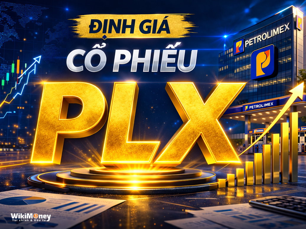 ĐỊNH GIÁ PLX: SỰ ĐỒNG THUẬN HIẾM HOI TỪ HAI ÔNG LỚN CHỨNG KHOÁN