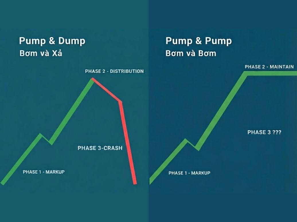 Giá cổ phiếu tăng chưa chắc tốt: Hiểu Pump & Dump và Pump & Pump để đầu tư an toàn