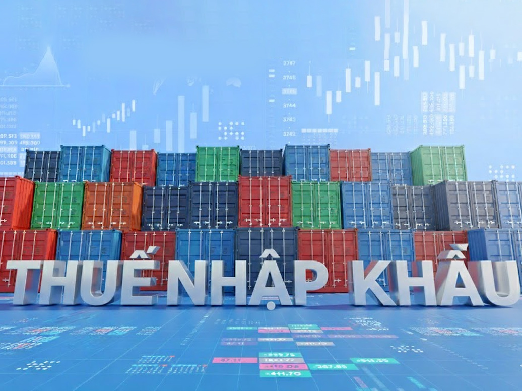 Thuế nhập khẩu – Mục đích và vai trò trong thương mại toàn cầu